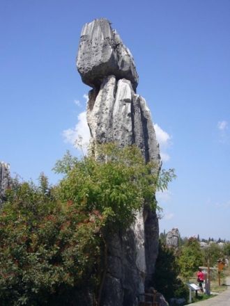 Каменный лес Шилинь (Shilinzhen) находит