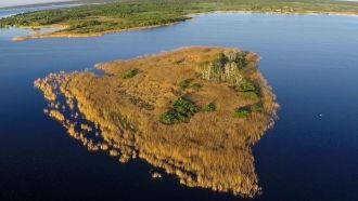 Одно из крупнейших озер в Беларуси, зани