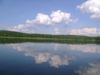Растительность в озере встречается до гл