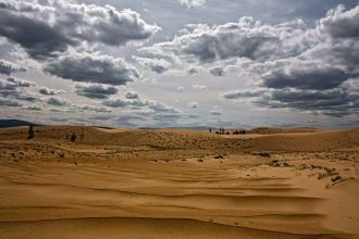 Граница между пустыней и тайгой – доволь
