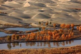 Среднеазиатский ученый описал реку доста