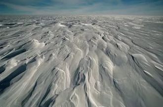Климат в Арктике очень суровый. Ледяной 