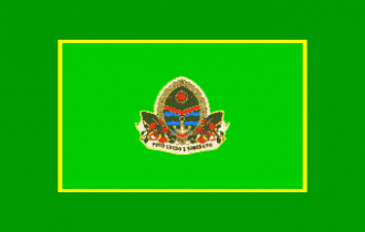 Флаг города Мапуту.