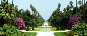 Сады Алжира