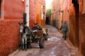 Кварталы, улицы