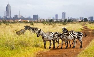 Национальный Парк Найроби