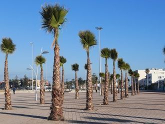 Улица Надора.