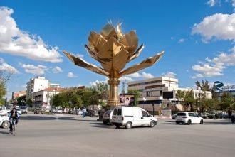 Памятник цветку.