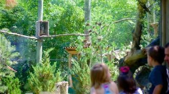 Зоопарк Роджера Уильямса