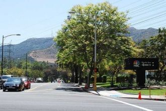 Улица Бербанка.