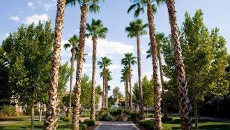 Лас-Вегас, США.