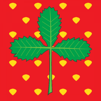 Флаг Ягодины