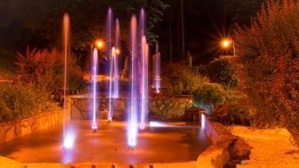 Ночная Ягодина