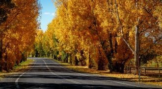 Осень в Батерсте.