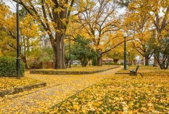 Осень в Батерсте.