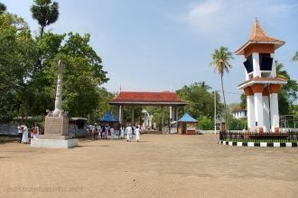 Священное дерево Бодхи.