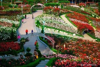 Dodang Park в Пучхоне с высоты.