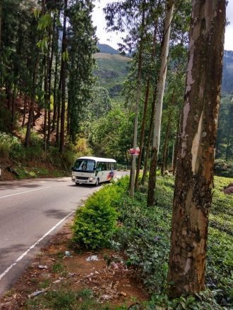 Улица Нувара-Элия.