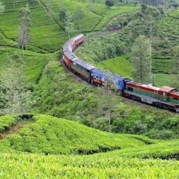 Нувара-Элия, Шри-Ланка.