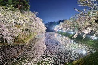 Весна в Аомори - ночное фото.