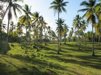 Давао, Филиппины.
