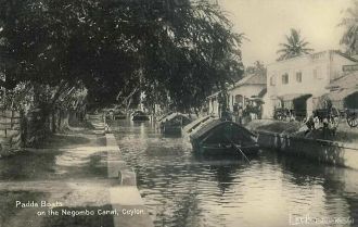 Старый Негомбо