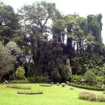 Ботанический сад Перадения.