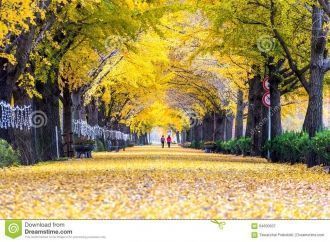 Парк в Асане осенью.