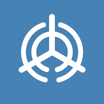 Флаг&nbsp;Оиты.