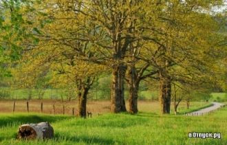 Парк в Канпуре.