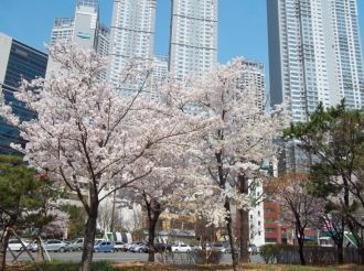 Тэгу, Республика Корея.