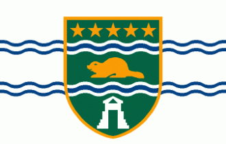 Флаг города Суррей.
