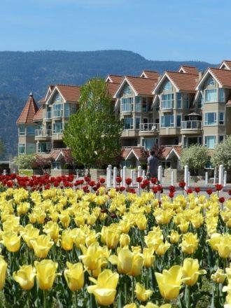 Улица в г. Келоуна.