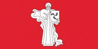 Флаг города Жодино.