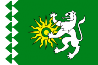 Флаг Берёзовского.
