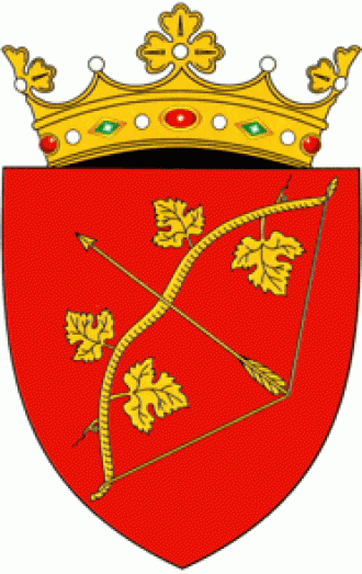 Герб города Хынчешты.