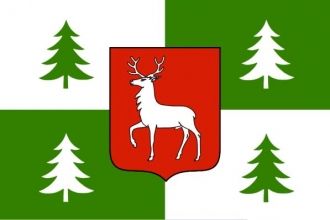 Флаг города Боржоми.