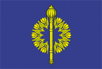 Флаг Фролово.