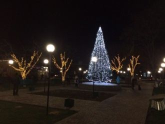 Килия ночью.