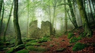 Древние руины.&nbsp;Ноттингем, Англия.