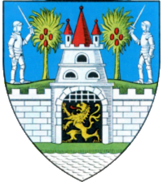 Герб Сату-Маре.