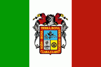 Флаг города Агуаскальентес.