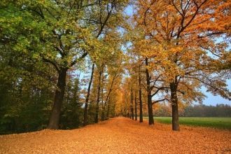 Монца, Италия: Парк осенью