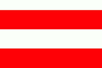 Флаг города Брно.