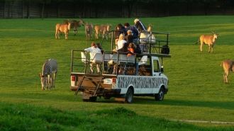 Городской зоопарк.&nbsp;