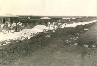 Старые виды Раананы