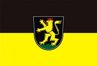 Флаг города Гейдельберг.