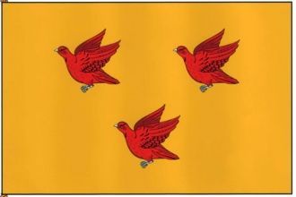 Флаг г. Ливны.