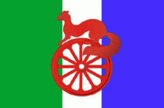 Флаг города Барабинск.