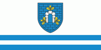 Флаг города Дубровно.